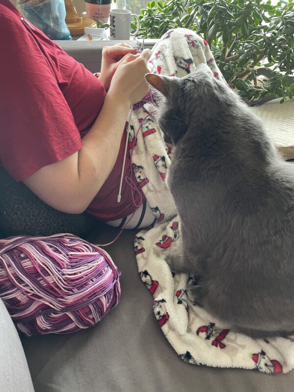 Tak staring intently at the knitting needless as the pull yarn off the ball