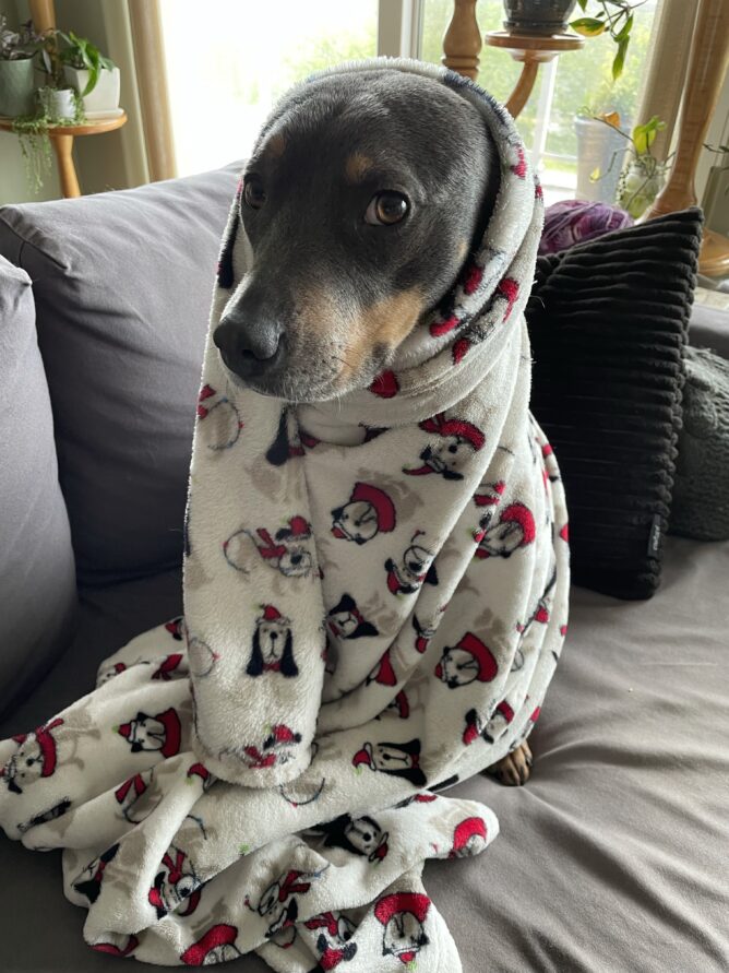 Untitled post 12255