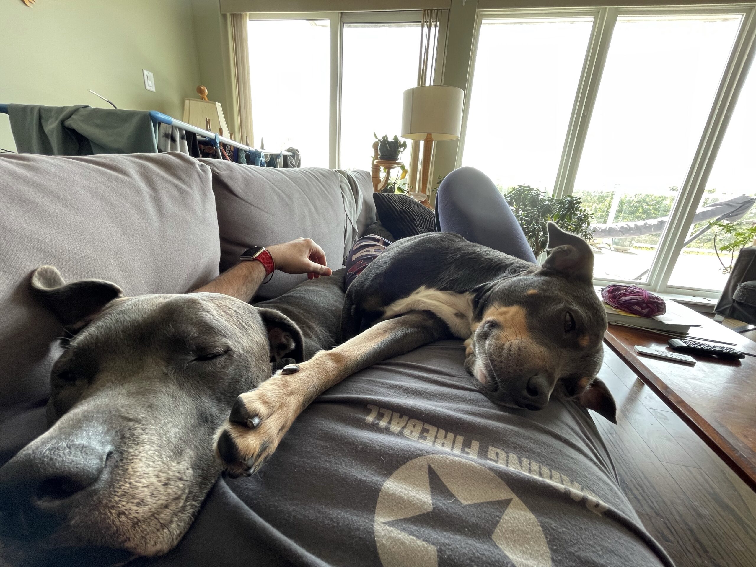 Untitled post 12633