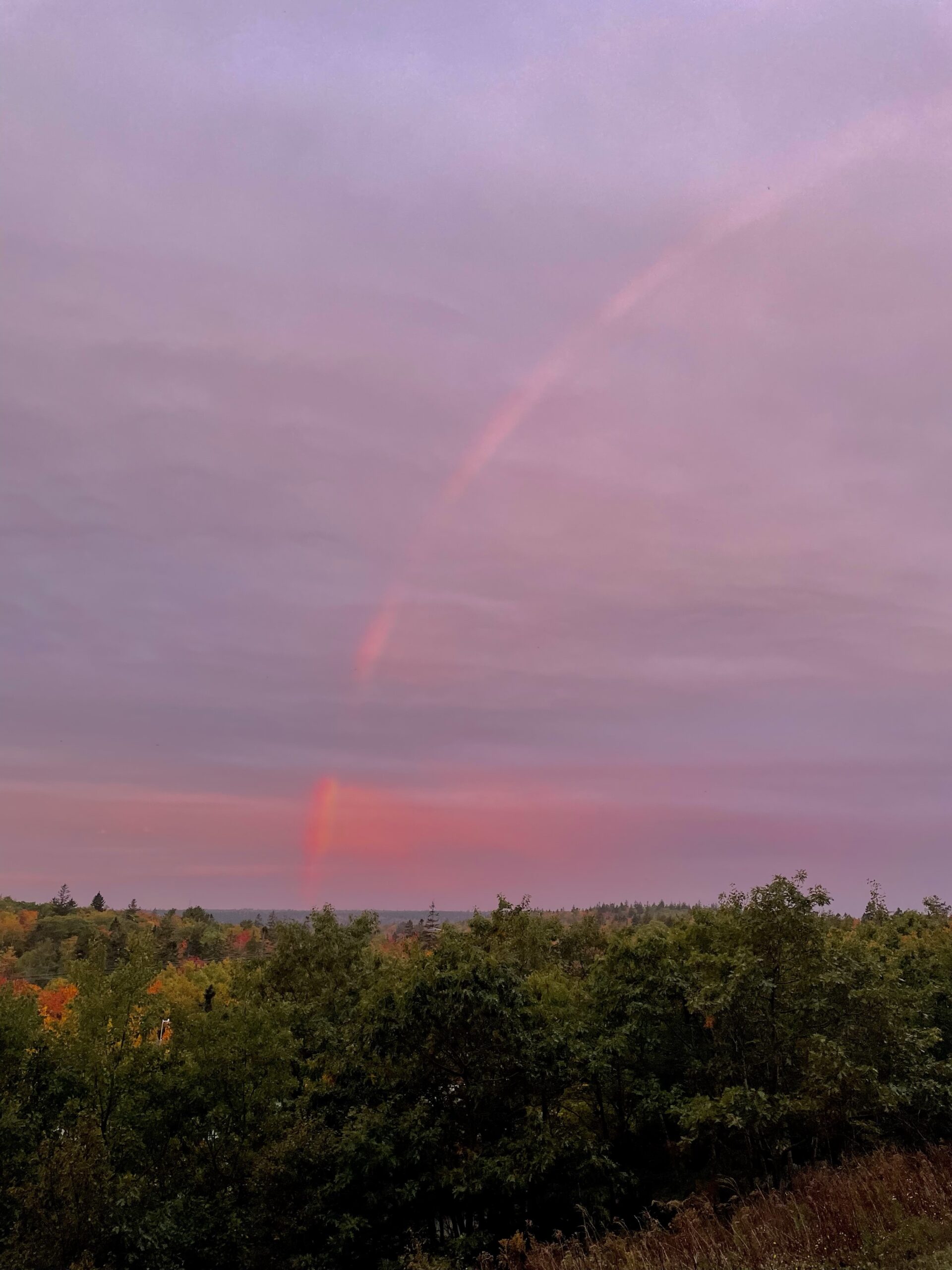 Untitled post 12690