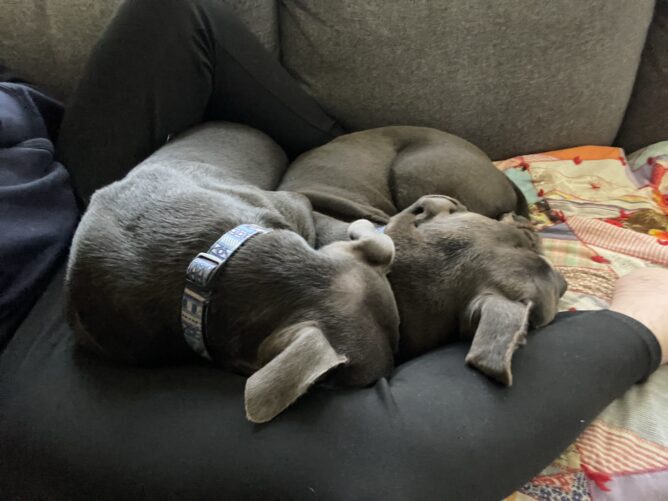 Untitled post 13262