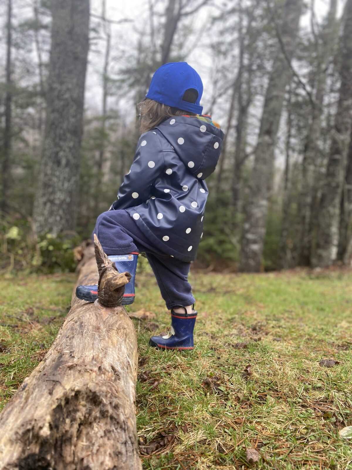 Gwen posing with left foot resting on a fallen tree while wearing a polka doted rain coat, rain boots, and blue ball cap. 